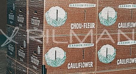 RIUS Bag-120-TA - Image 4